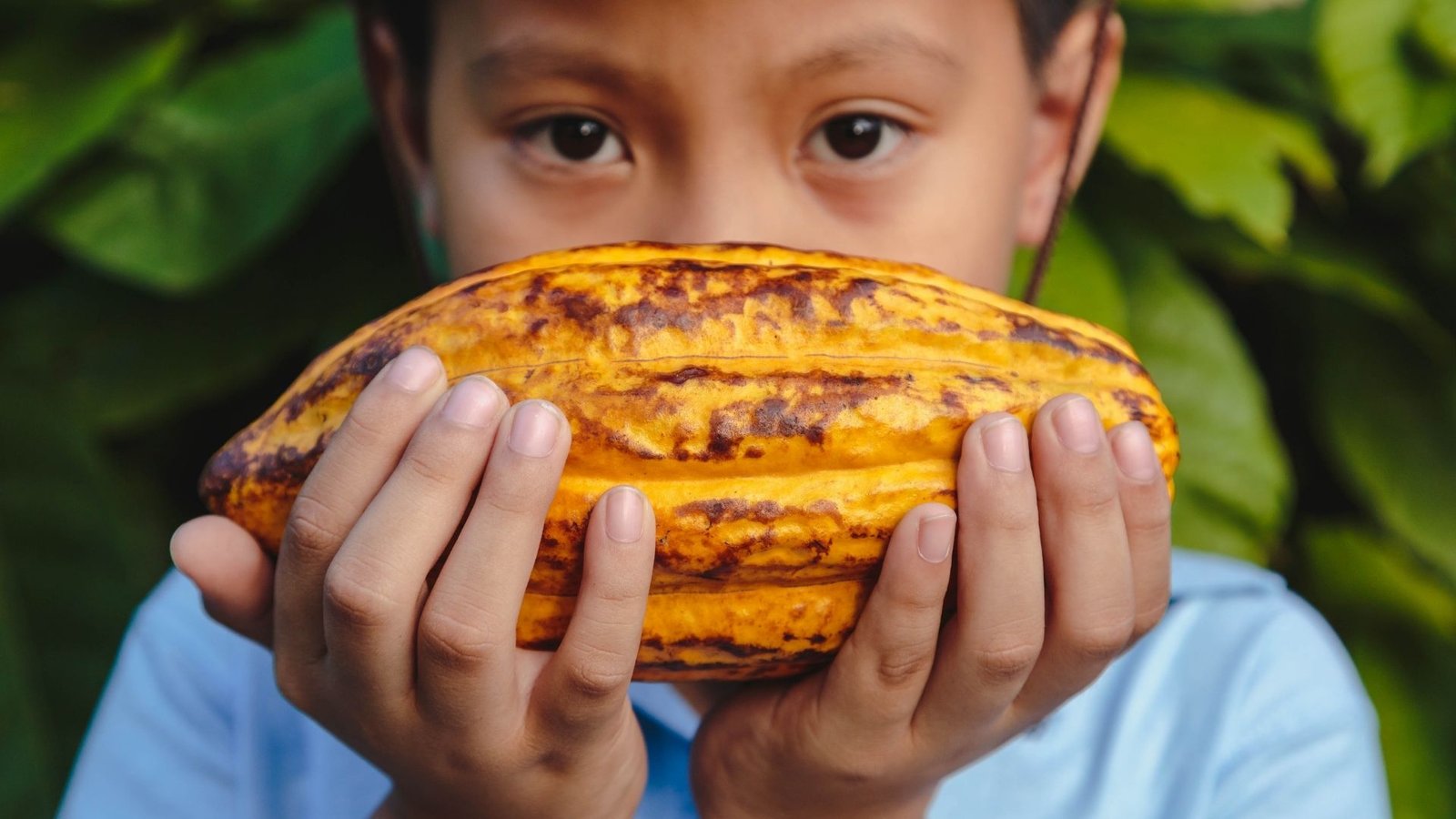 Empowering Communities, Nurturing Integrity: Nantli Cacao's Ethical Commitment