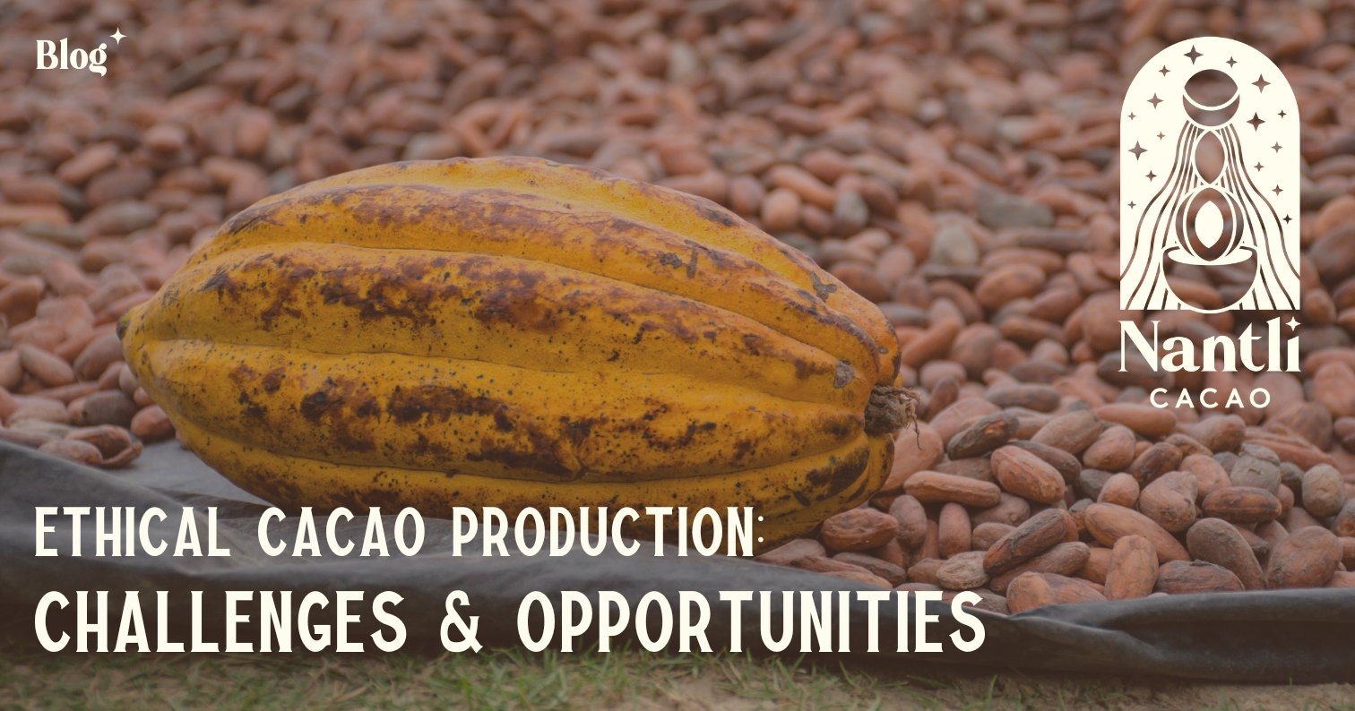 Ethical Cacao Production