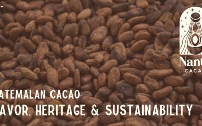 Guatemalan cacao: Unveiling Its flavor,  Heritage & sustainability